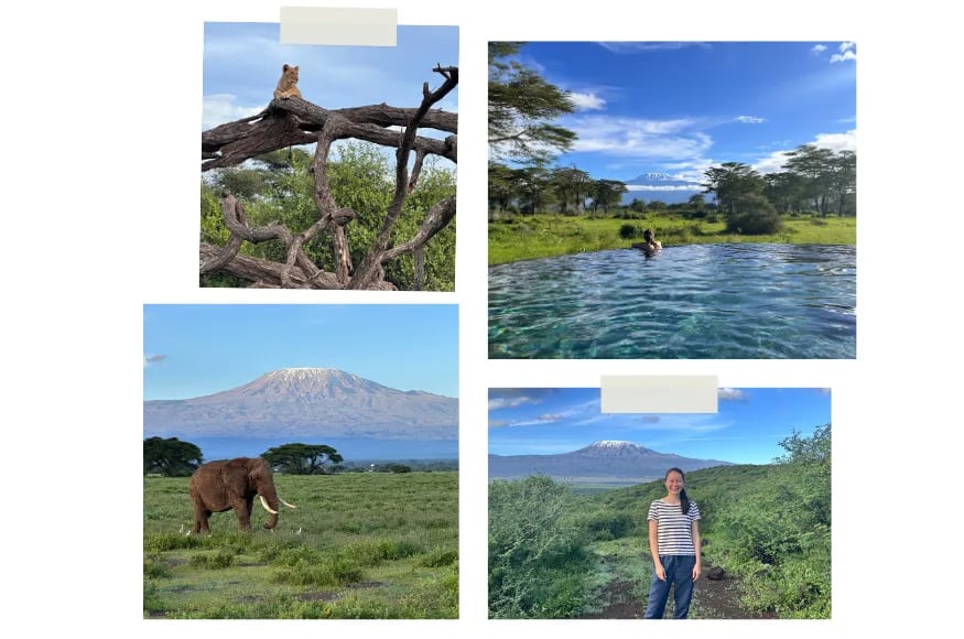 Collage of a luxury safari holiday to the Masaai Mara