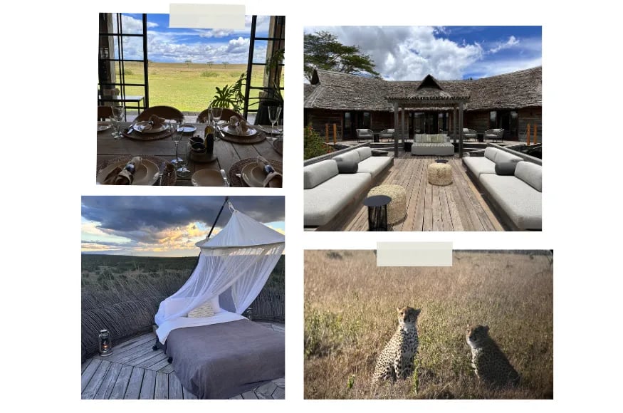 Collage of a stay at Segera luxury safari camp