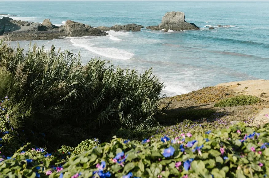 Ocean meets countryside in Alentejo