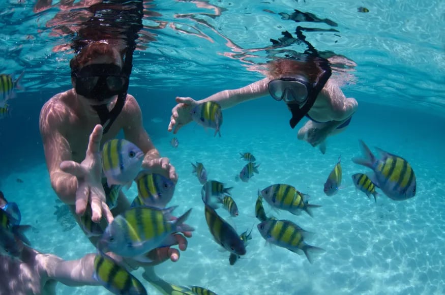 family snorkeling