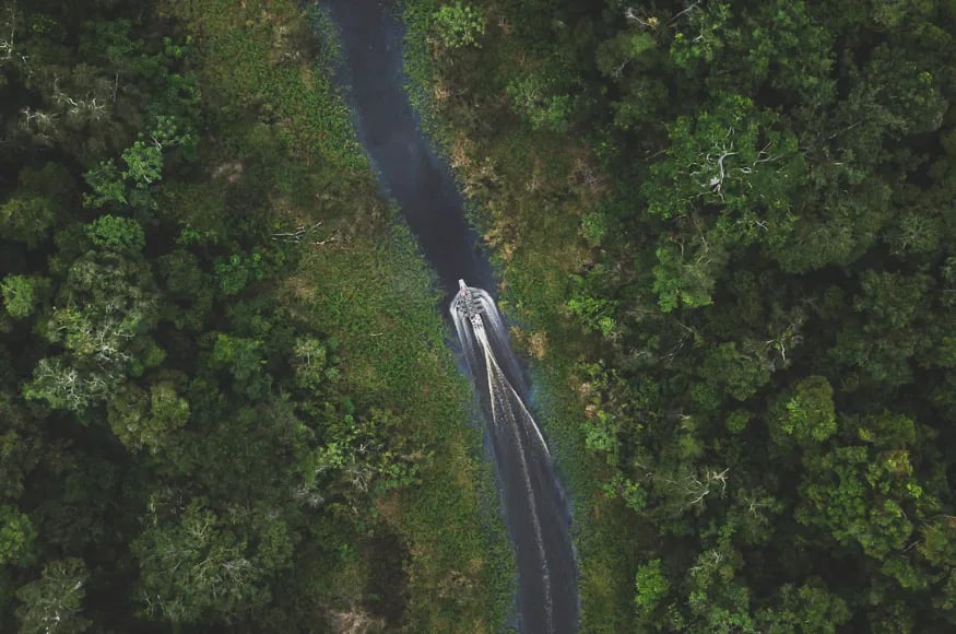 Aerial image of Delfin Cruise, the Amazon Peru