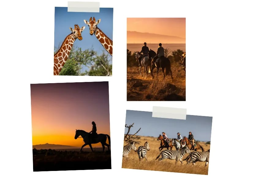 Collage of Sosian Lodge Kenya