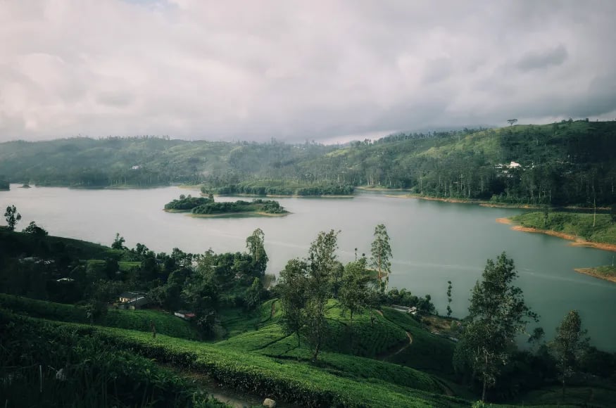 Misty hill country in Sri Lanka
