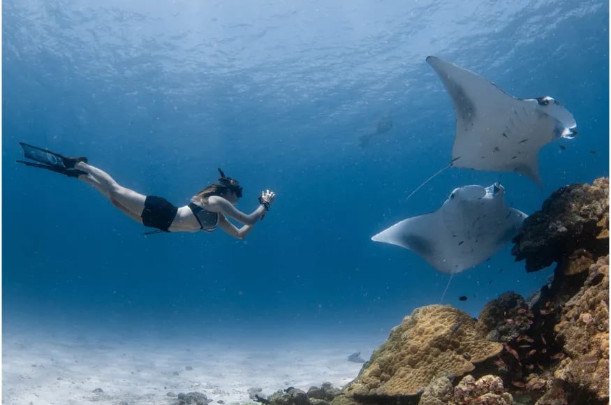 A woman swimming with Mantas in the Maldives