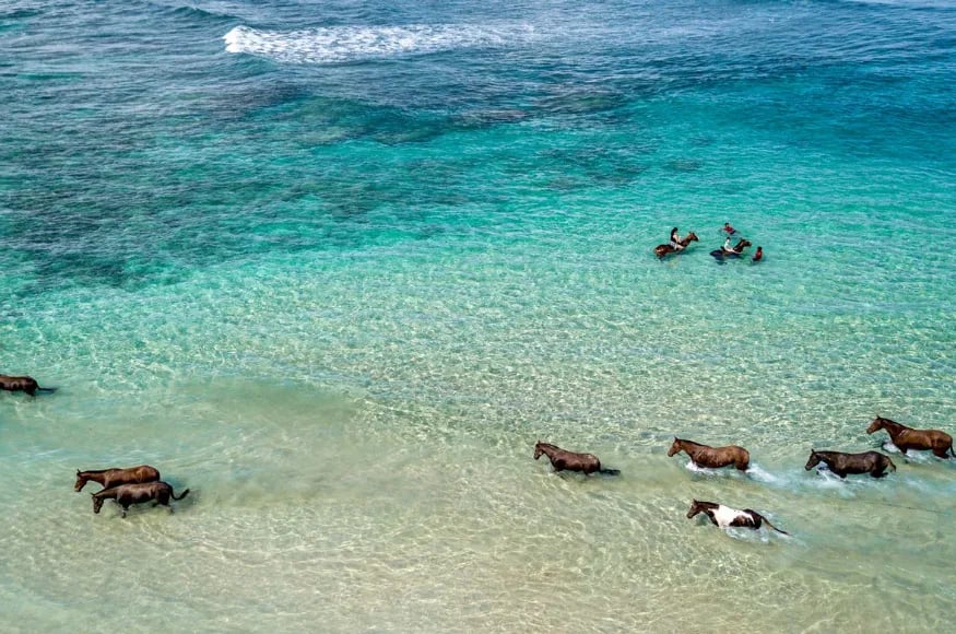 Horses swimming in the ocean at Nihi Sumba