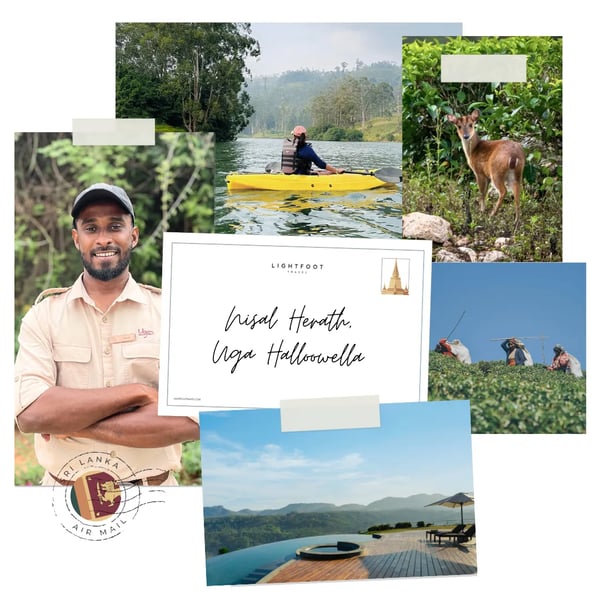 Nisal Herath, Uga Halloowella collage