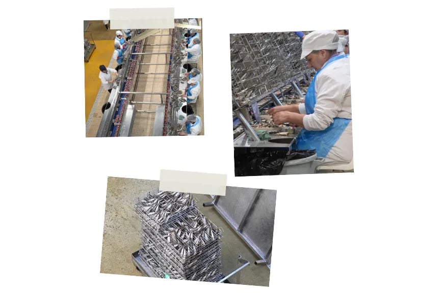Collage of a Sardine factory