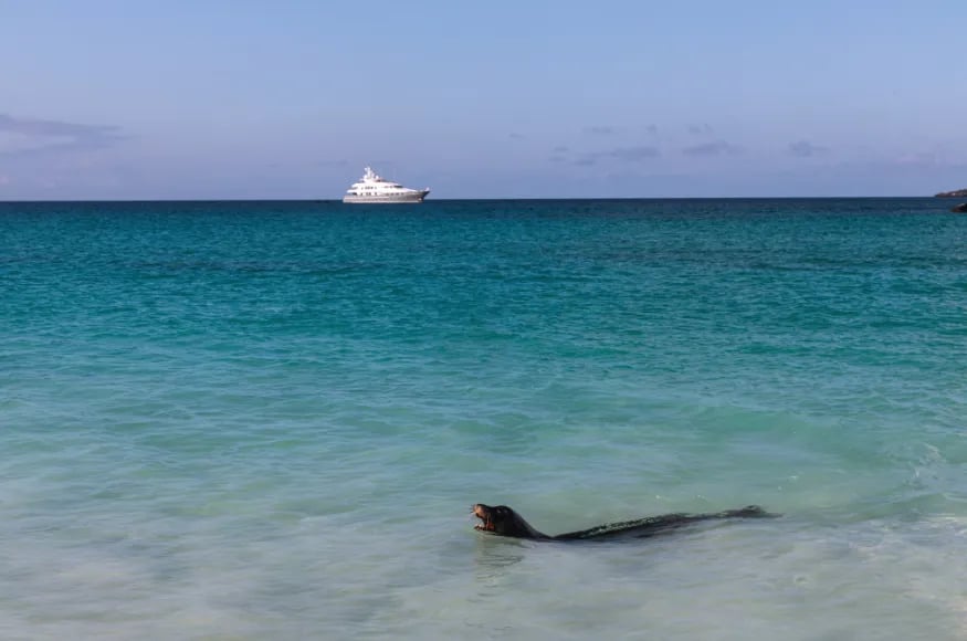 Yachts in the Galapagos