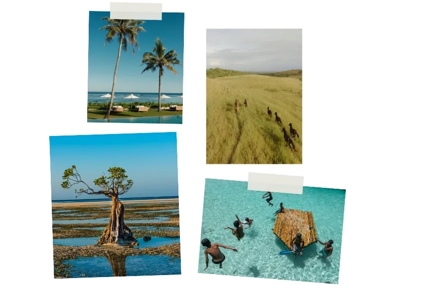 collage of sumba Indonesia