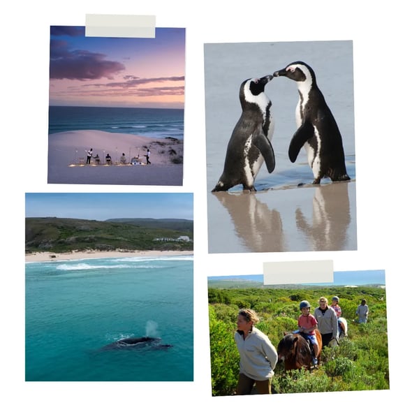 Luxury beach holidays to South Africa with the family