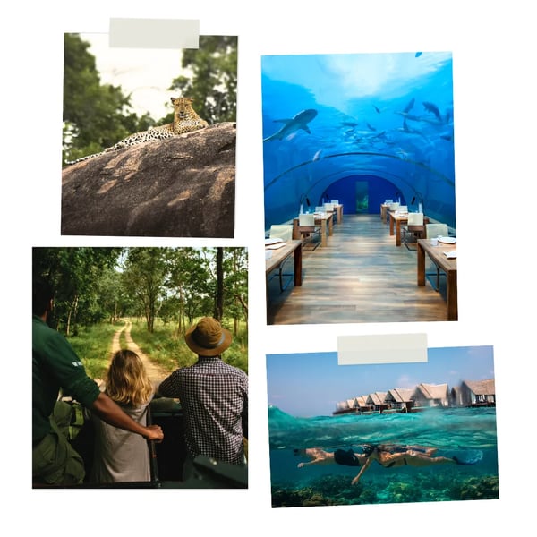 Sri Lanka and the Maldives for wildlife