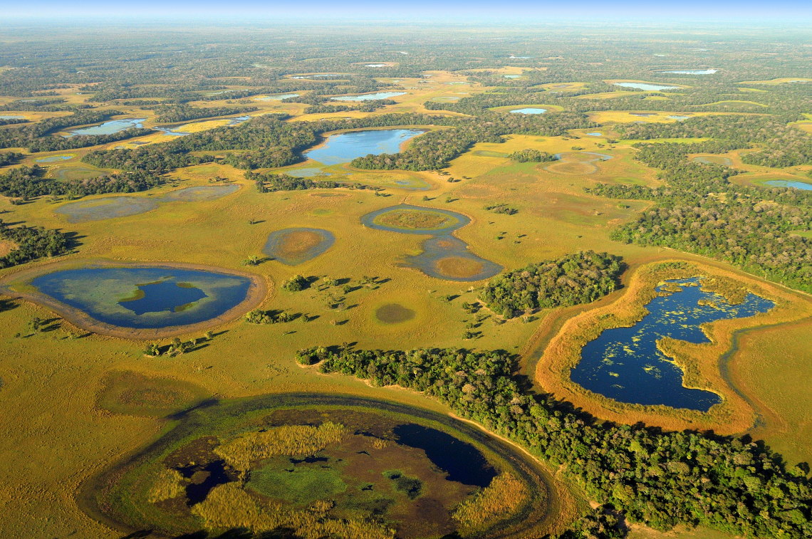 Destinations_brazil_pantanal_cool
