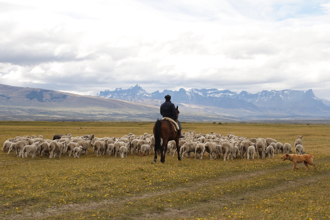 Destinations_chile_patagonia_awasi