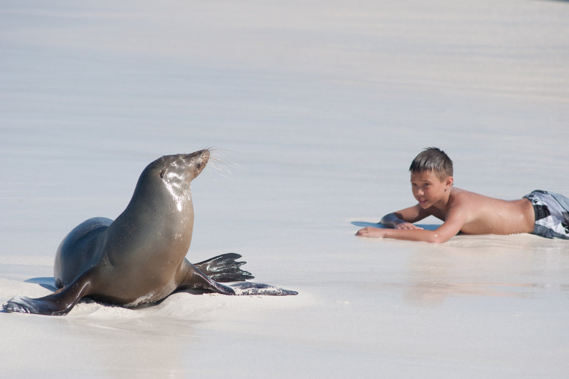 Destinations_ecuador_galapagos_islands_seal (2)