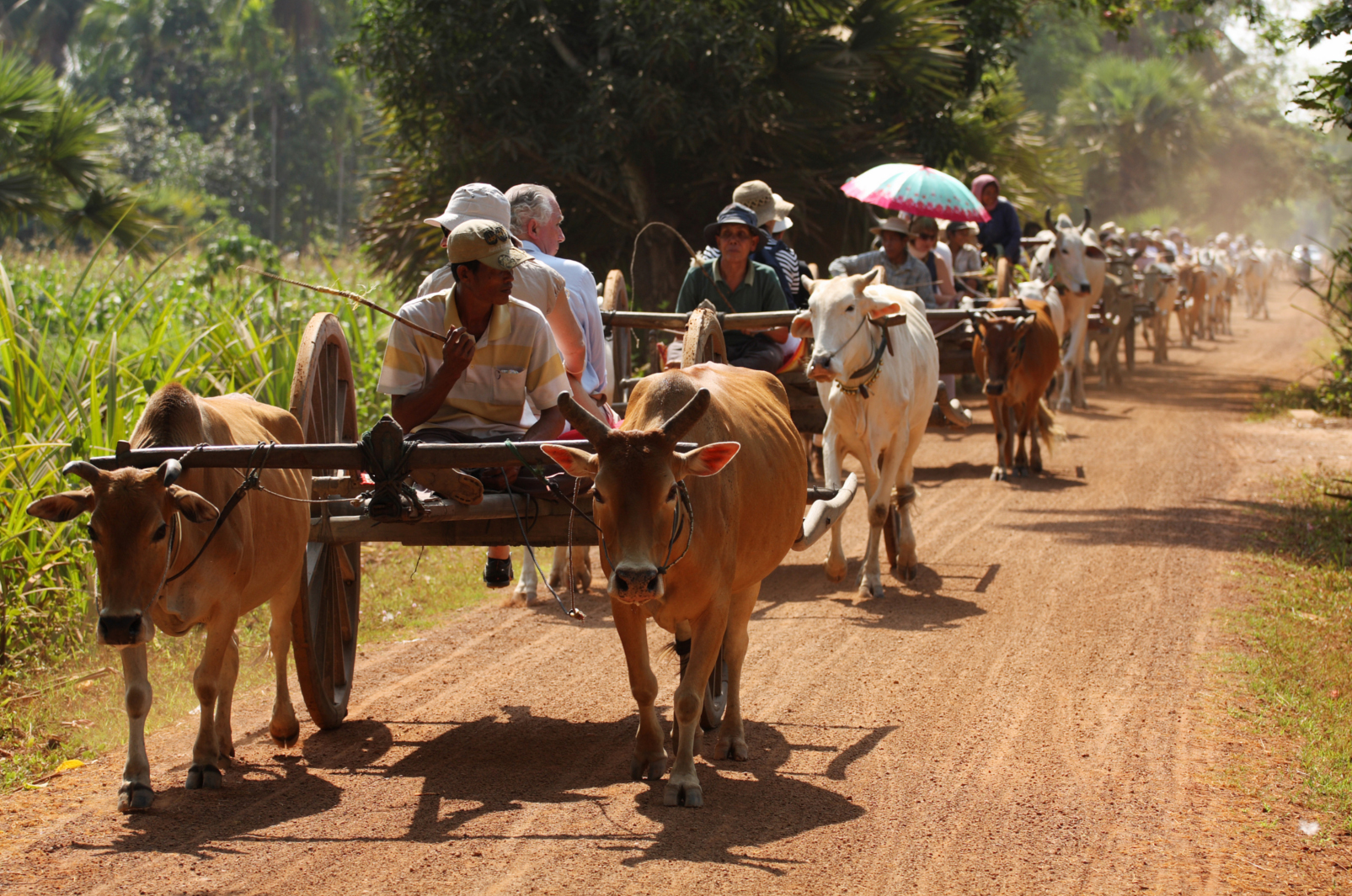 Top-ten-things-Cambodia-Kids